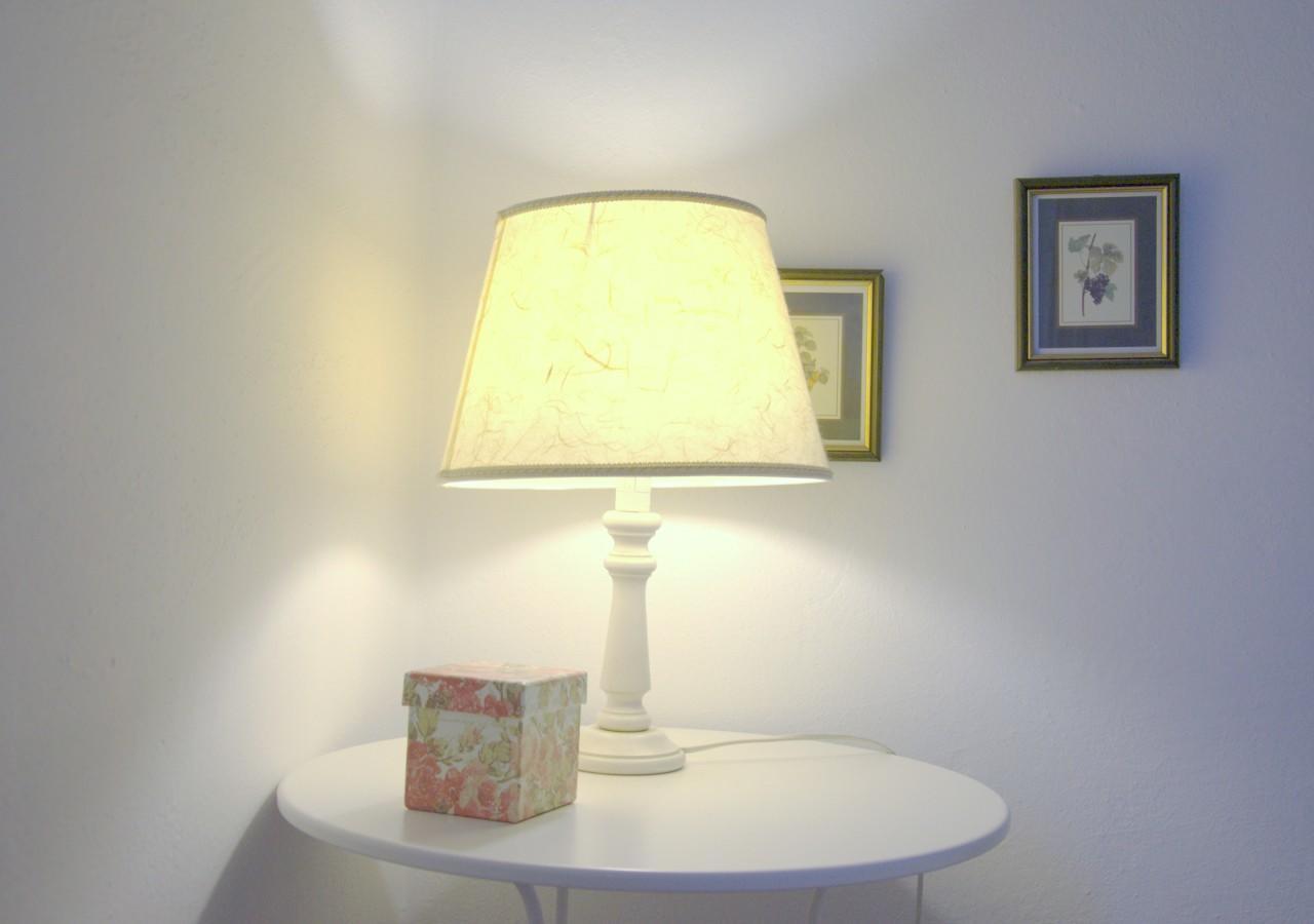 La Coccinella Guest House Pisa Luaran gambar